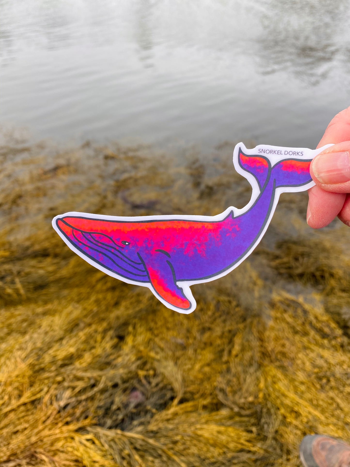Marine Stickers