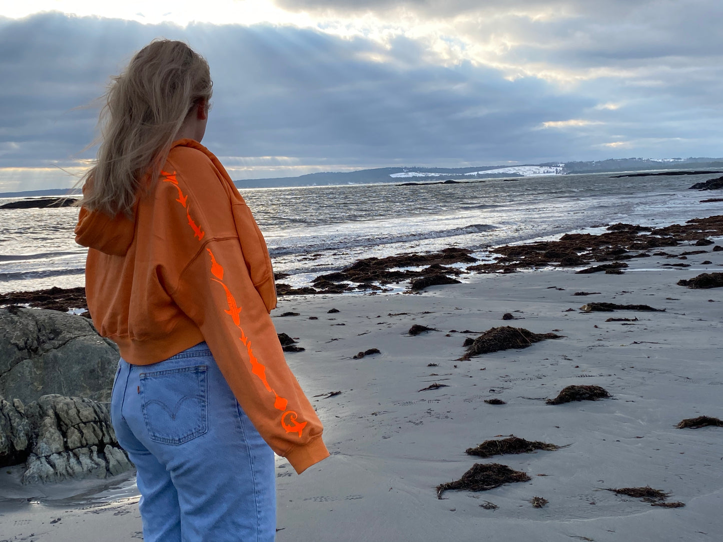 Neon Sharky Cropped Sweater