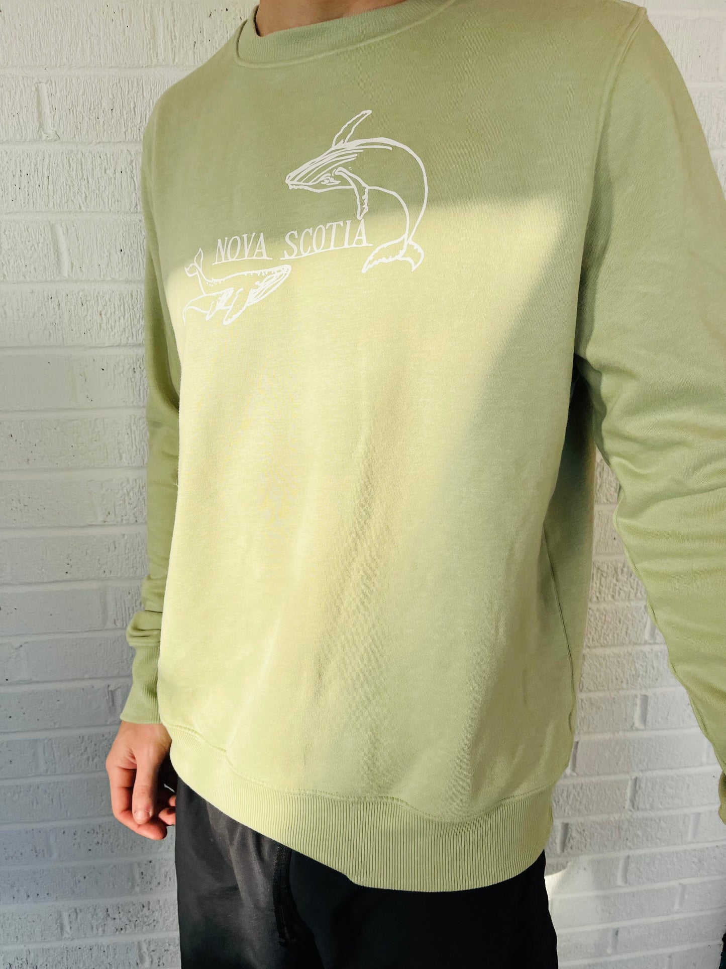 Humpback Whale Sweater