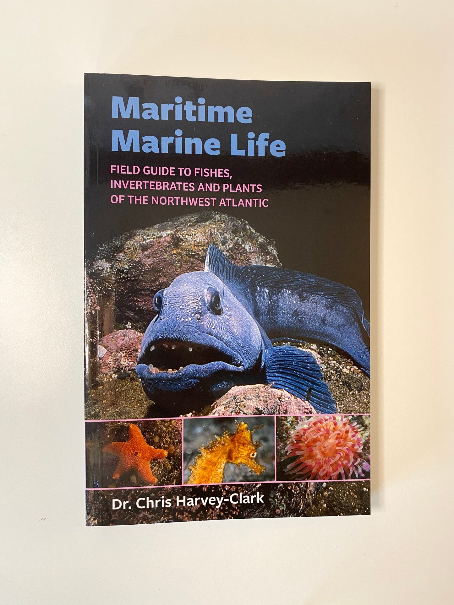 Maritime Marine Life Field Guide to Fishes Invertebrates and Plants of the Northwest Atlantic