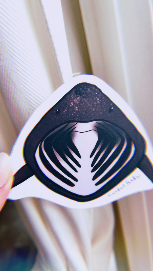 Basking Shark Matte Sticker