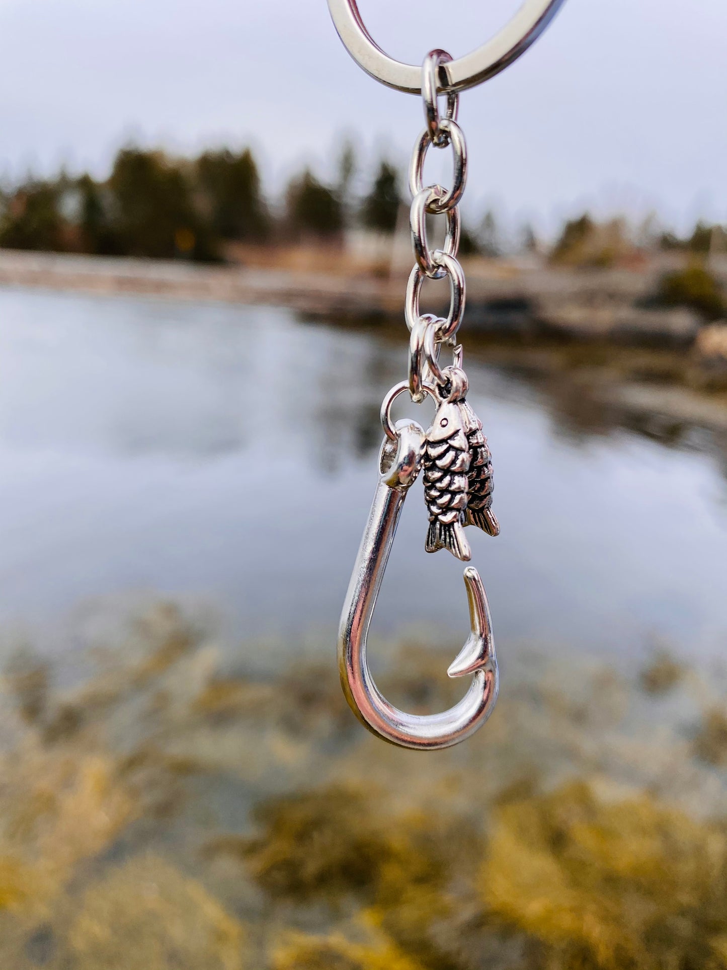 Fish and Hook Key chain