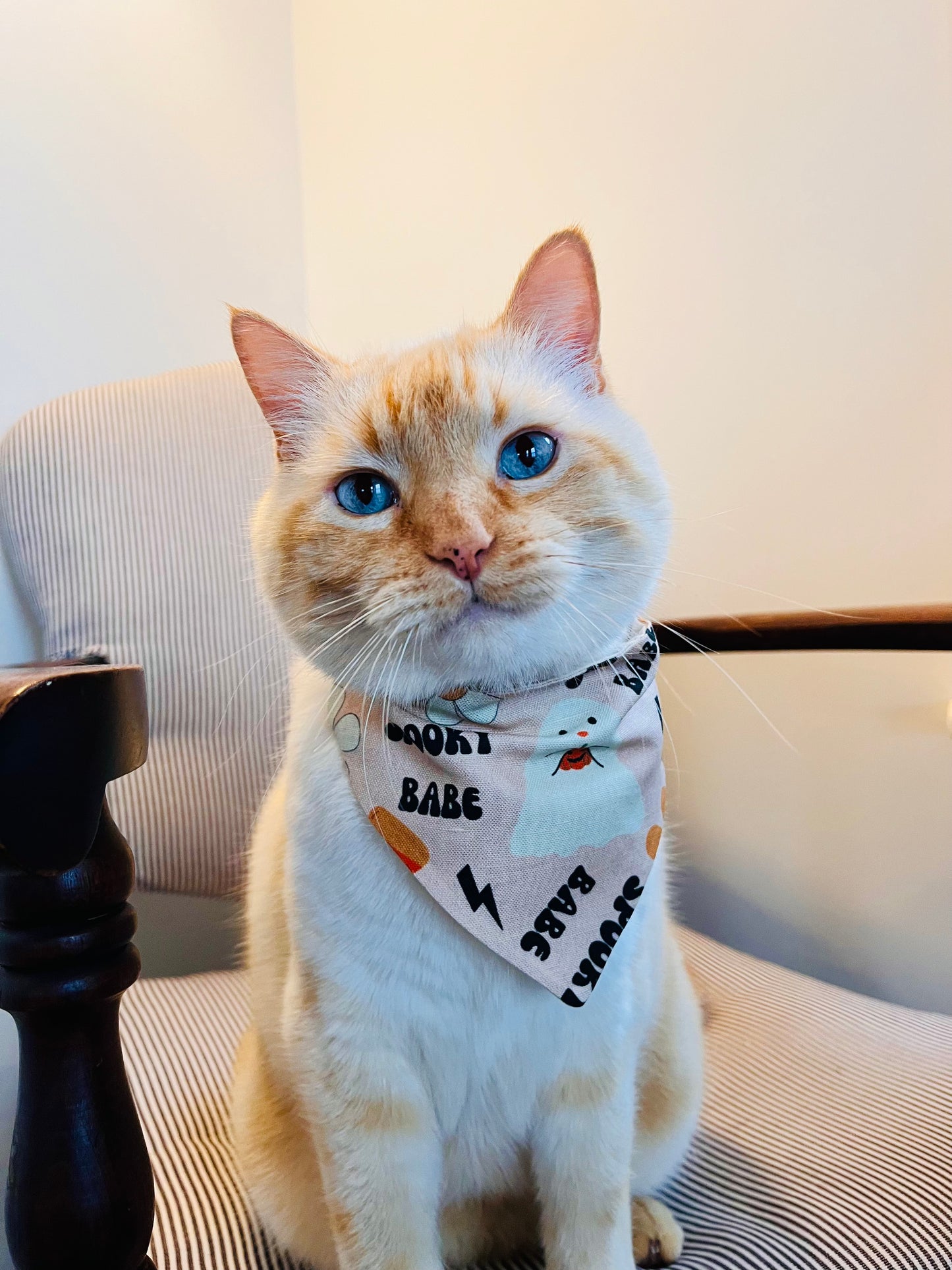 Spooky Bandanas