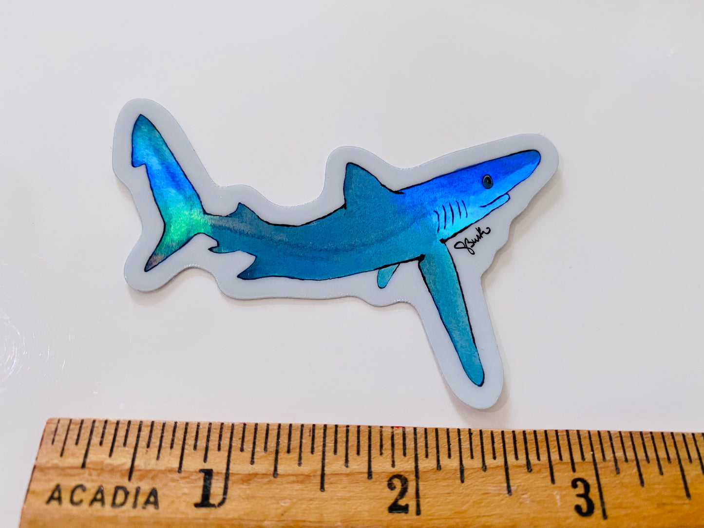 Holographic Blue Shark